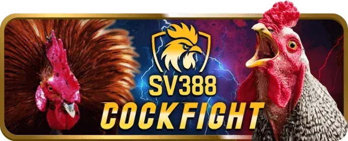 Hoa hồng cao từ Hello88 dícount